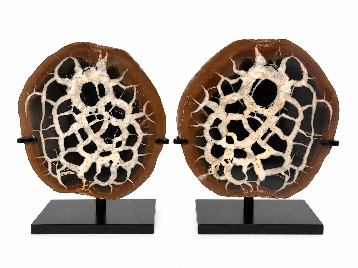 Set of 2 mini Septaria